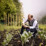 Relais & Chateaux Castel Fragsburg 5* Merano