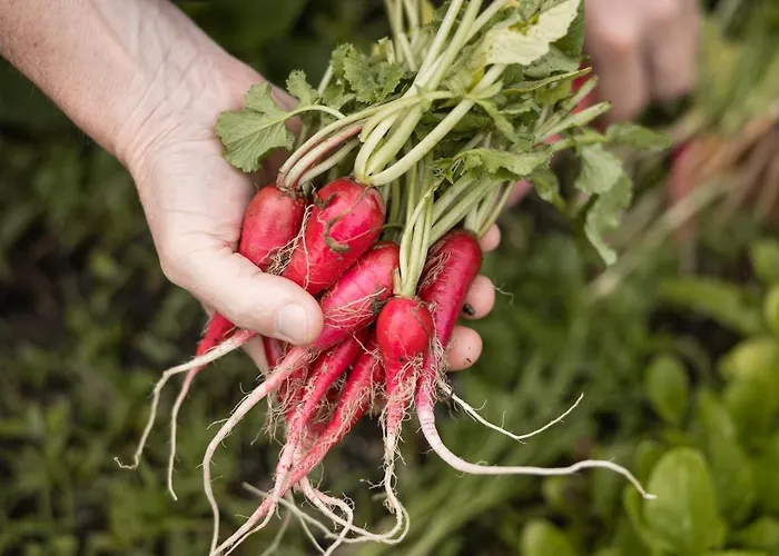 卡斯特尔弗莱堡瑞莱斯城堡酒店 5* 梅拉诺